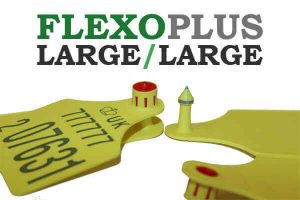 flexo-large-large2