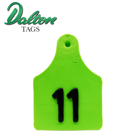 Dalton Pig Tag green