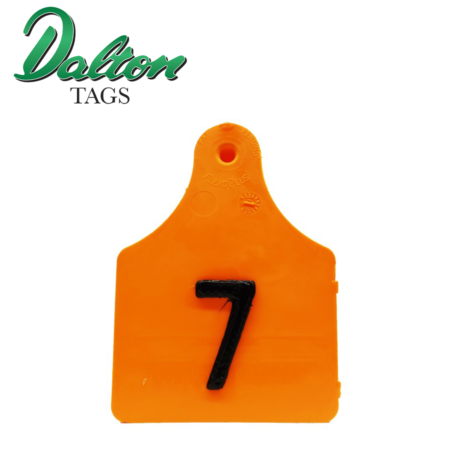 Orange 3D Pig Tag