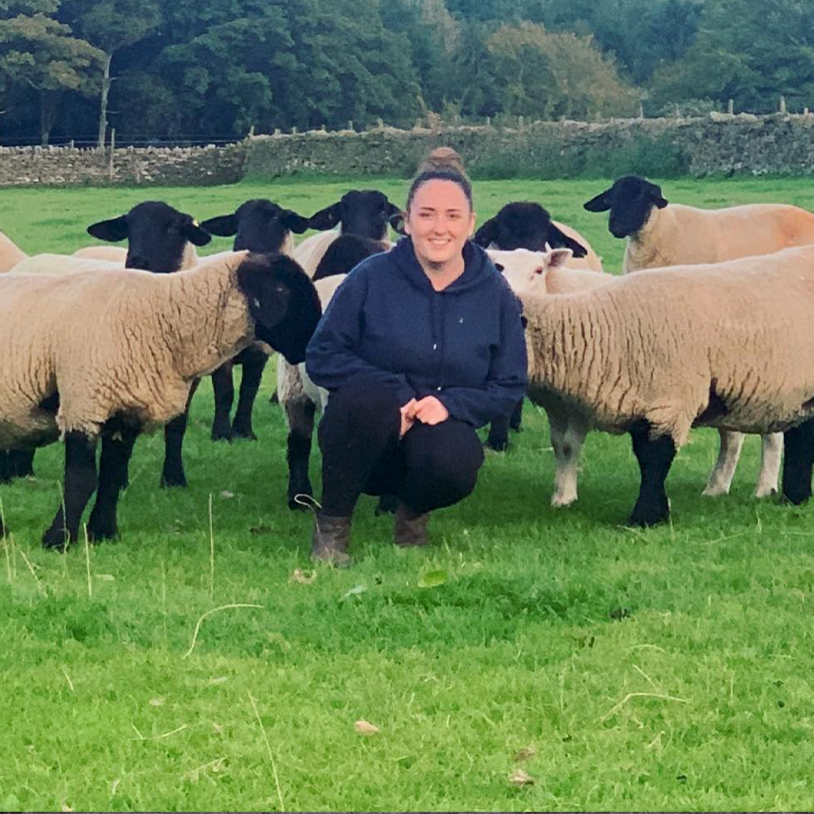 Katie Bachelor - Stoney Raikes Suffolk Sheep