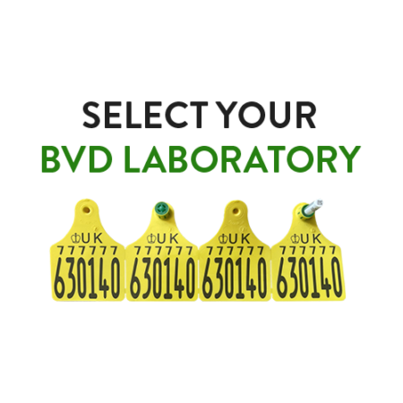 BVD Laboratory Selection